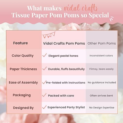 Vidal Crafts 20-Piece Boho Tissue Paper Pom Poms