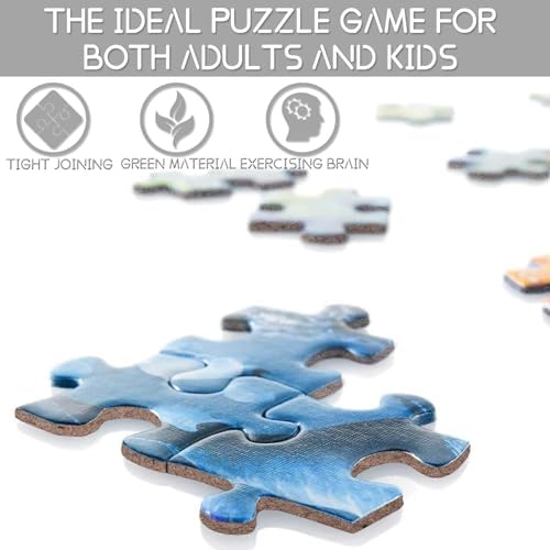 Tucocoo 1000 Piece Jigsaw Puzzle American Football Art