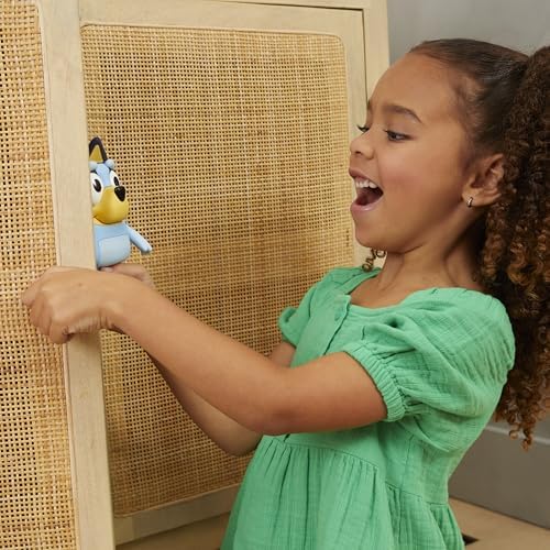 Bluey Hide Seek Game with Timer and Dance Feature