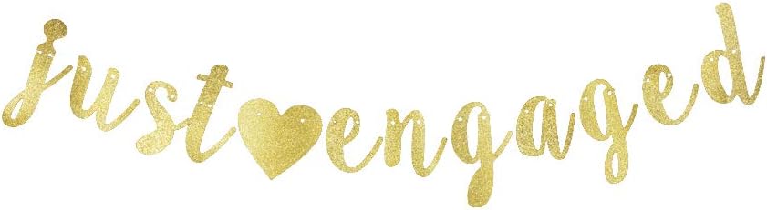Just Engaged Banner Gold Glitter Paper Sign Backdrop