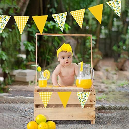 44 Ft Lemon Theme Bunting Banner Garland for Parties