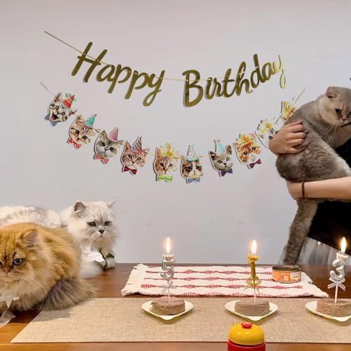 Happy Birthday Cat Banner Garland with Gold Sign