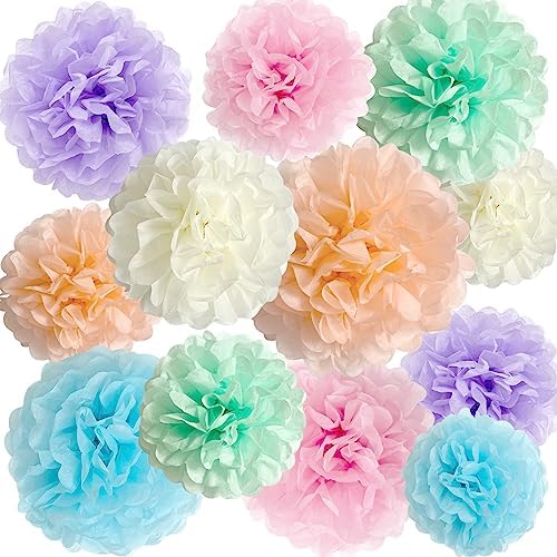 ANSOMO Pastel Tissue Paper Pom Poms Decorations