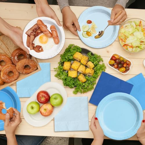 CMUSKO 60Pcs Blue Plates and Napkins Party Supplies