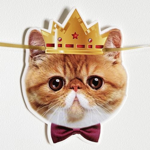 Happy Birthday Cat Banner Garland with Gold Sign