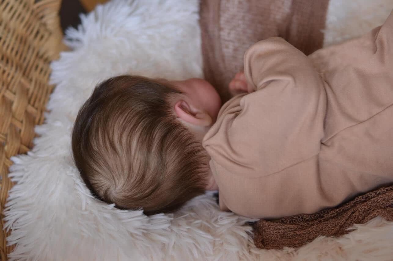iCradle Realistic 20 Inch Reborn Baby Doll Girl