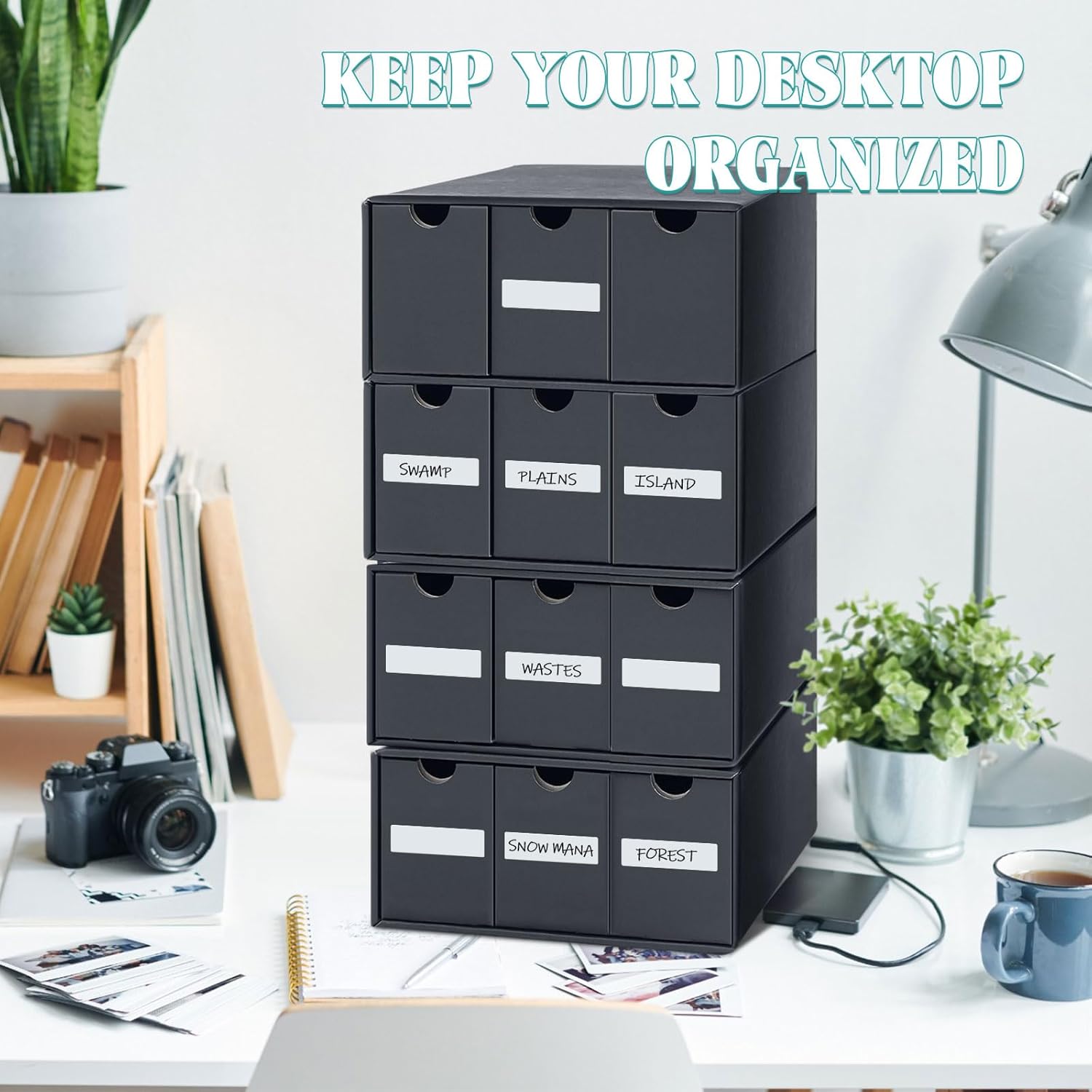 Cholemy 15000 Trading Cards Storage Box with 70 Dividers and Labels