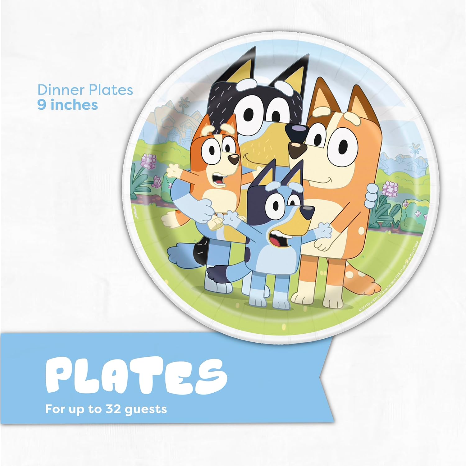 Bluey Plates and Napkins for 32 Guests